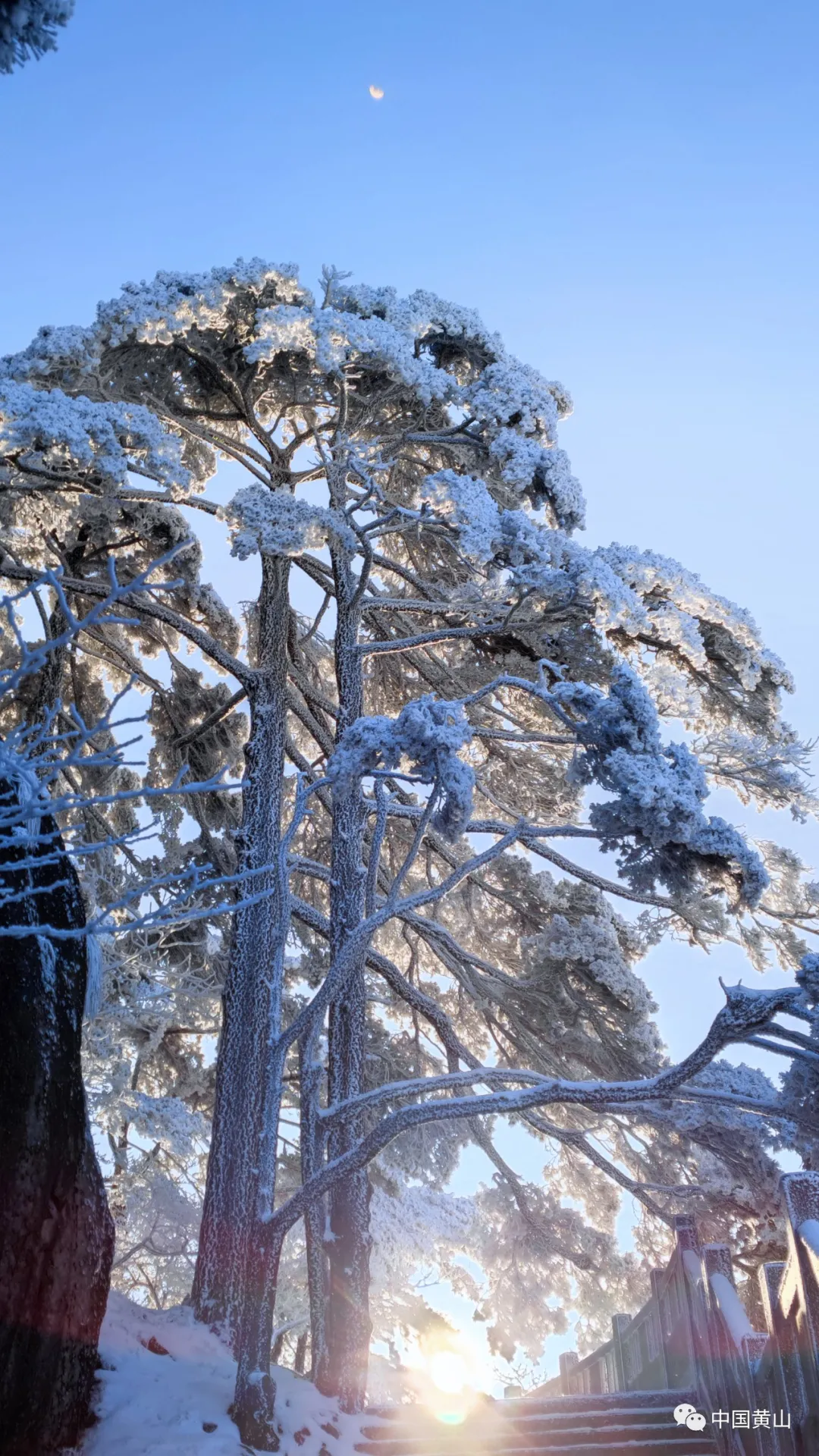 黄山雪后初霁,日出云海齐现美如仙境