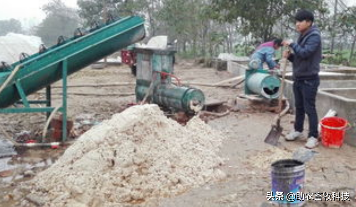 將芋頭、紅薯加工下腳料通過(guò)發(fā)酵成為豬牛羊雞鴨鵝優(yōu)質(zhì)飼料技術(shù) 將芋頭、紅薯加工下腳料通過(guò)發(fā)酵成為豬牛羊雞鴨鵝優(yōu)質(zhì)飼料技術(shù)