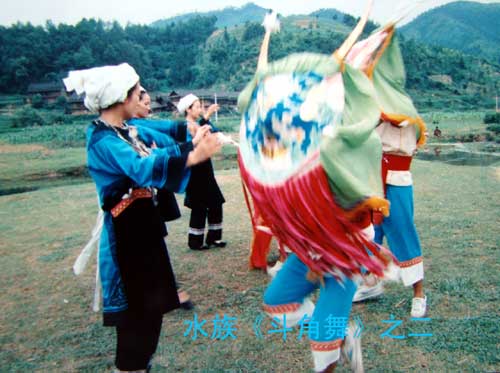 民族采风：贵州三都水族歌舞拍摄记（图）