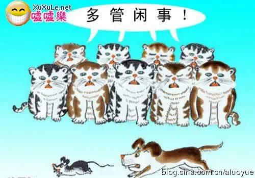潛規則只能做，不能說；明規則只能說，不能做，別傻傻地分不清哦