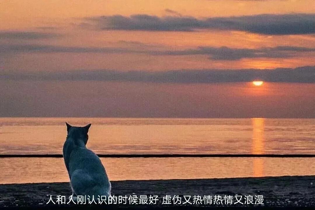 特别现实的生活文案，真的很扎心