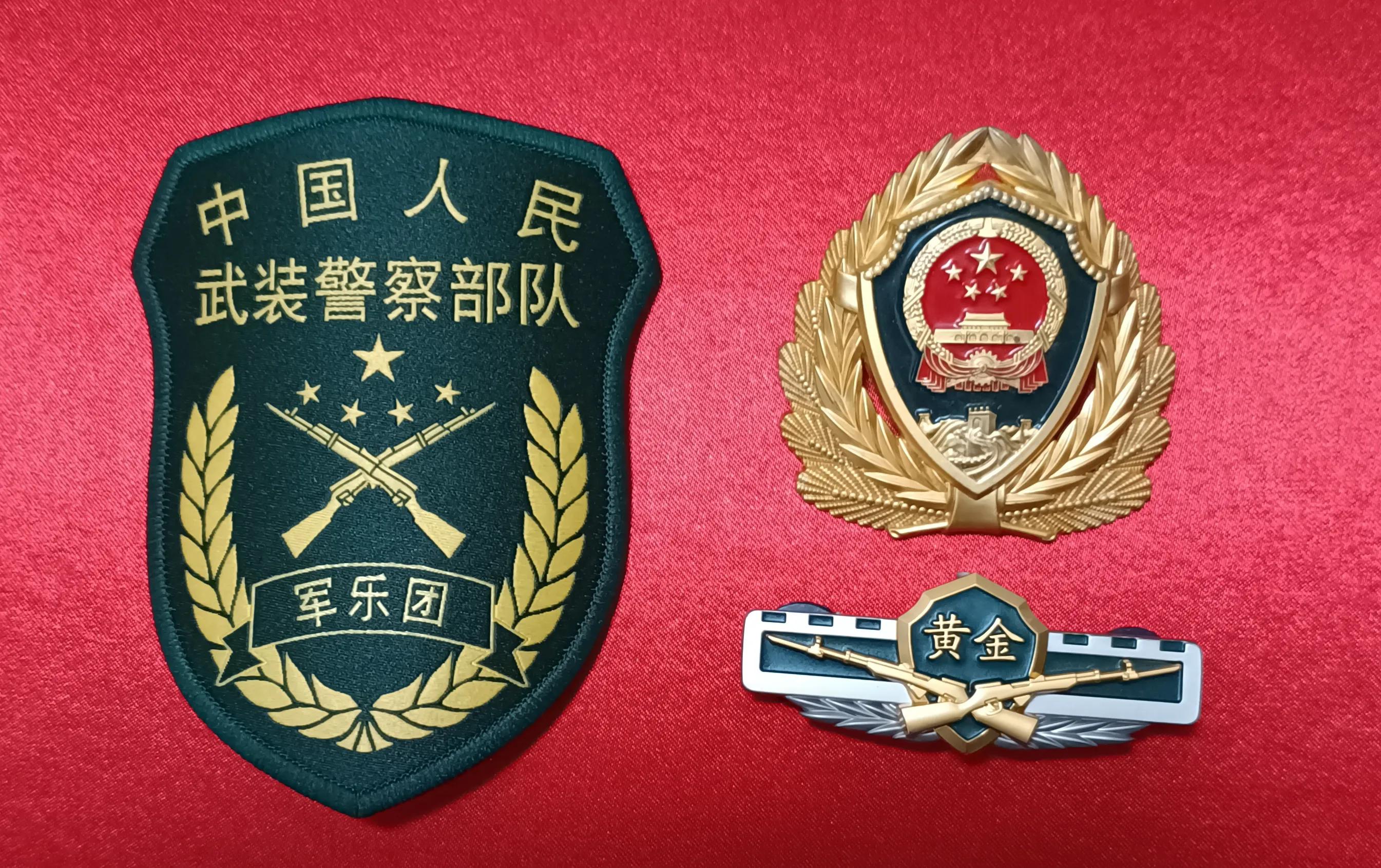 毛启国:武警部队16式臂章鉴赏