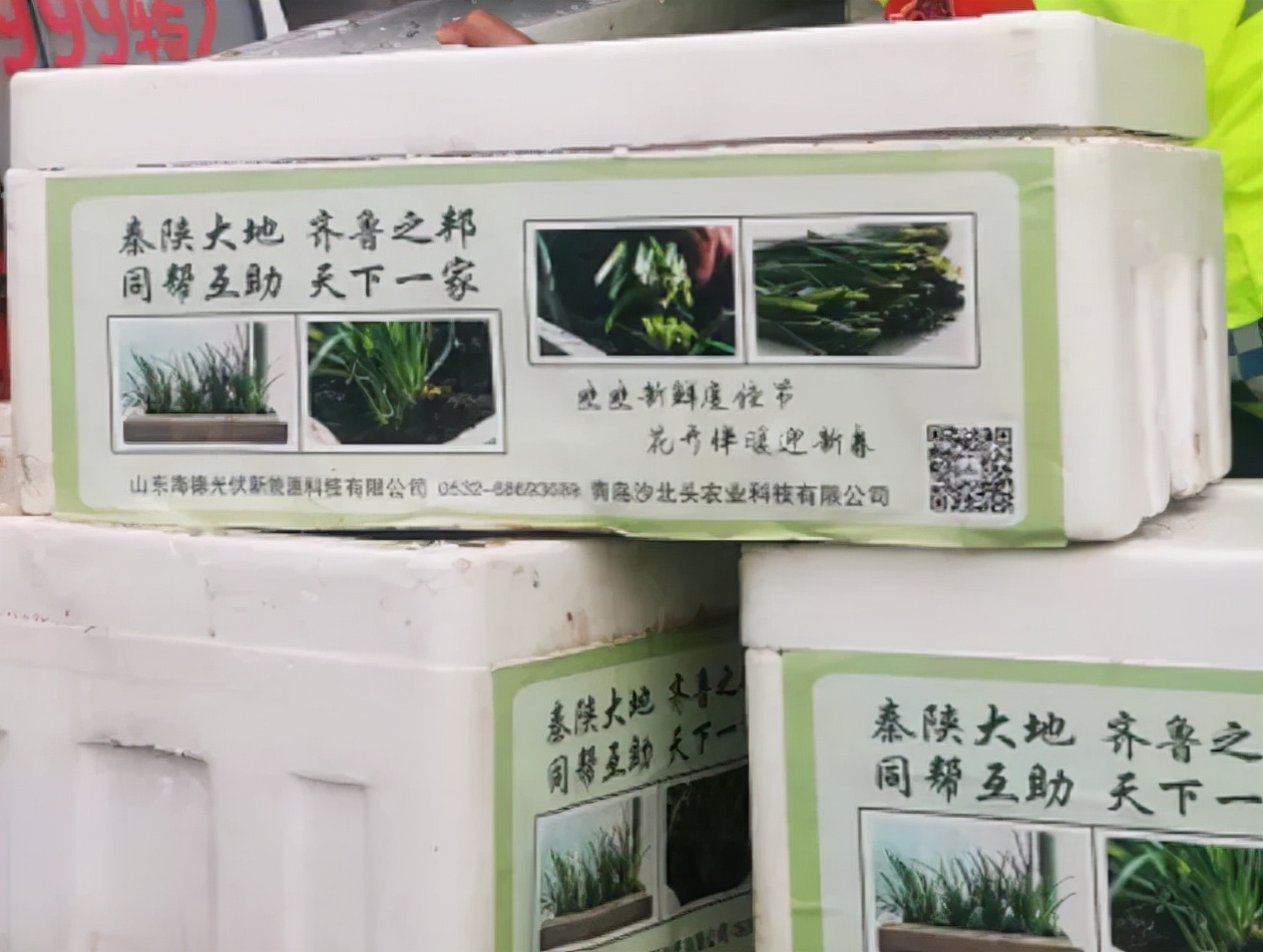 1000��ɽ�����²ˡ������������߹�����ܰ�� ˿·�������ж�