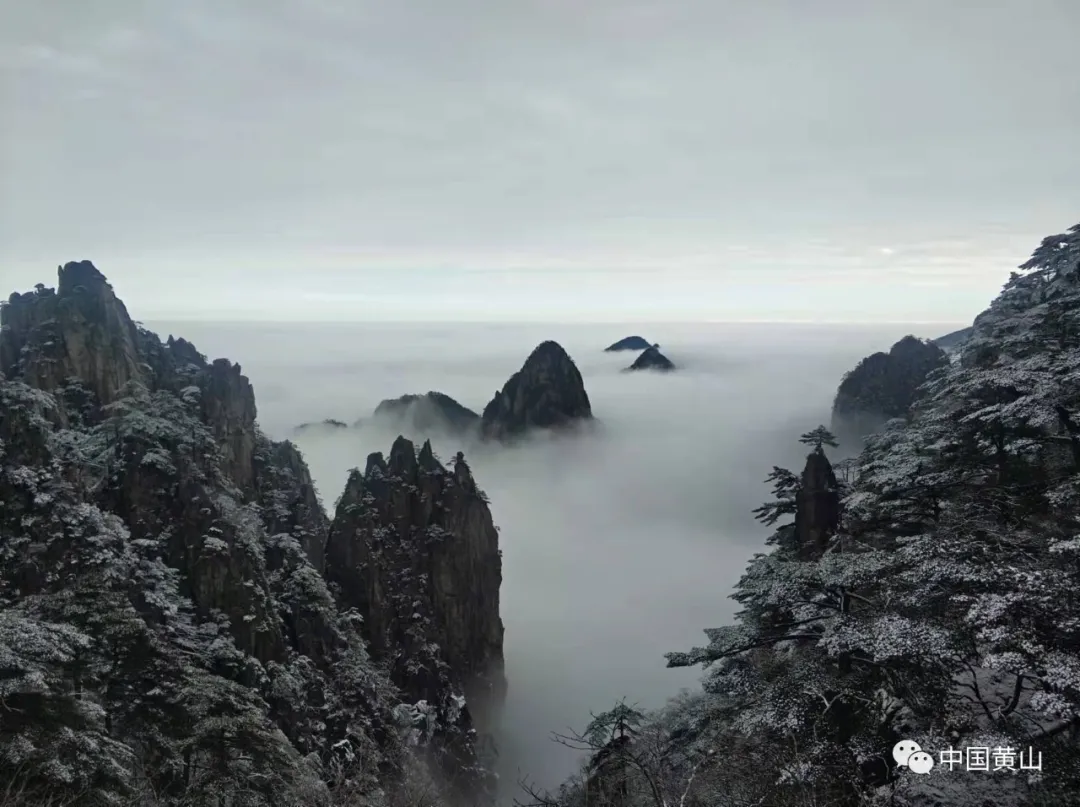 黄山雪后初霁,日出云海齐现美如仙境