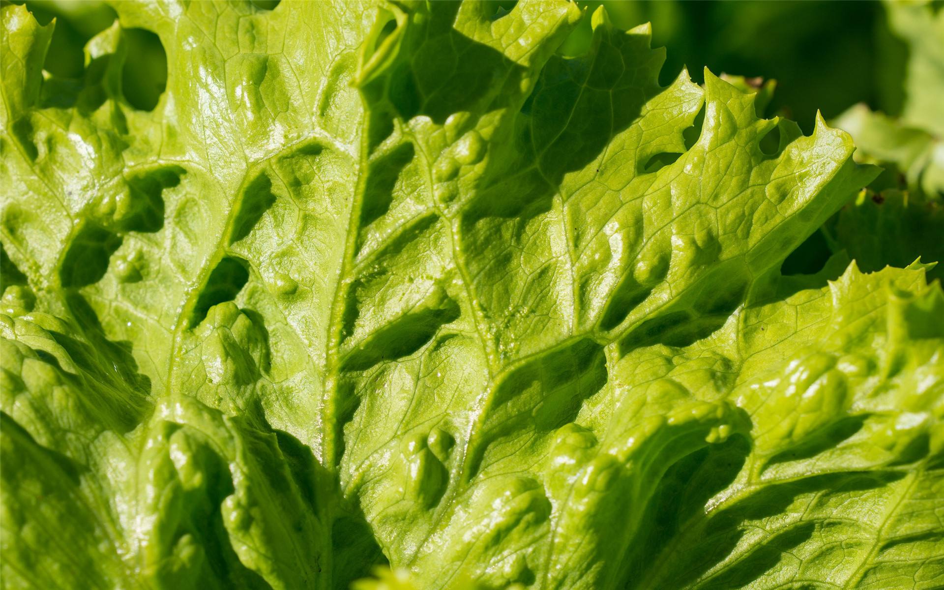 女人绝经后，衰老会加倍？想要减缓速度，这5种食物需要多吃点了