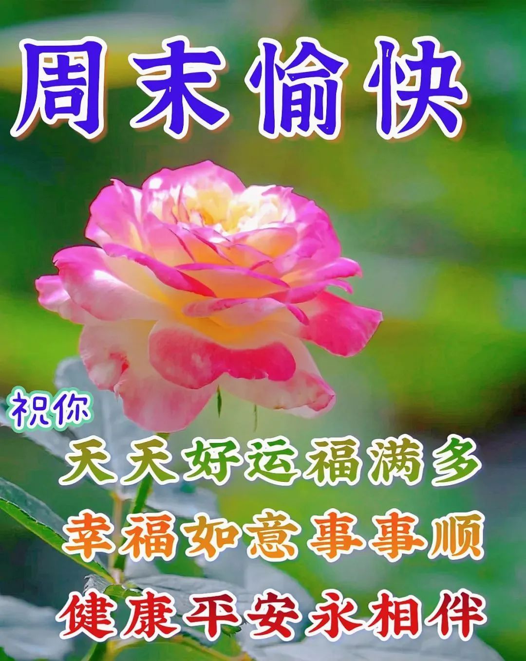 6月4日周日早上好,请问唯美温馨祝福图片最新消息动态公布-北斗民商大