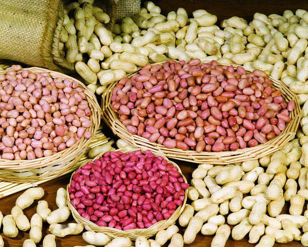 花生被称为“长寿果”，可生吃和熟吃花生，哪种健康效果最好？