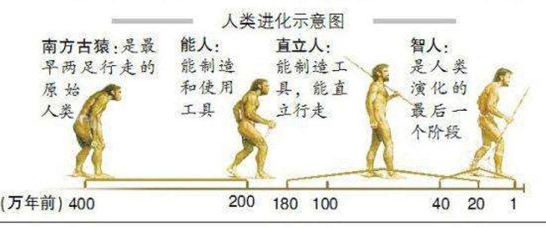 恐龙灭绝的元凶起争议，或许并非是小行星？新的“答案”是啥