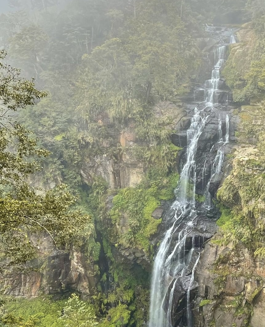 Ella带家人和员工度假，与劲宝DIY披萨，母子欢乐同框画风有爱