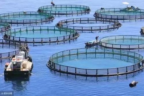 以“三湾一口”生态整治为重点，建设海洋生态文明
