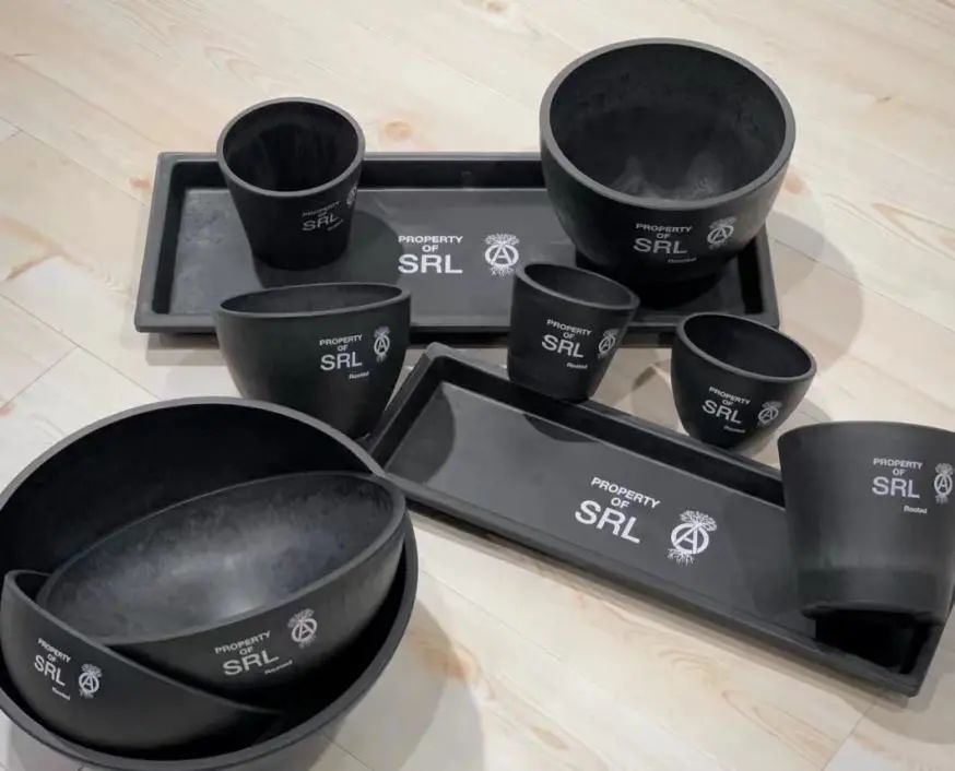 潮流圈开始“炒”植物了？花盆竟高达三四万