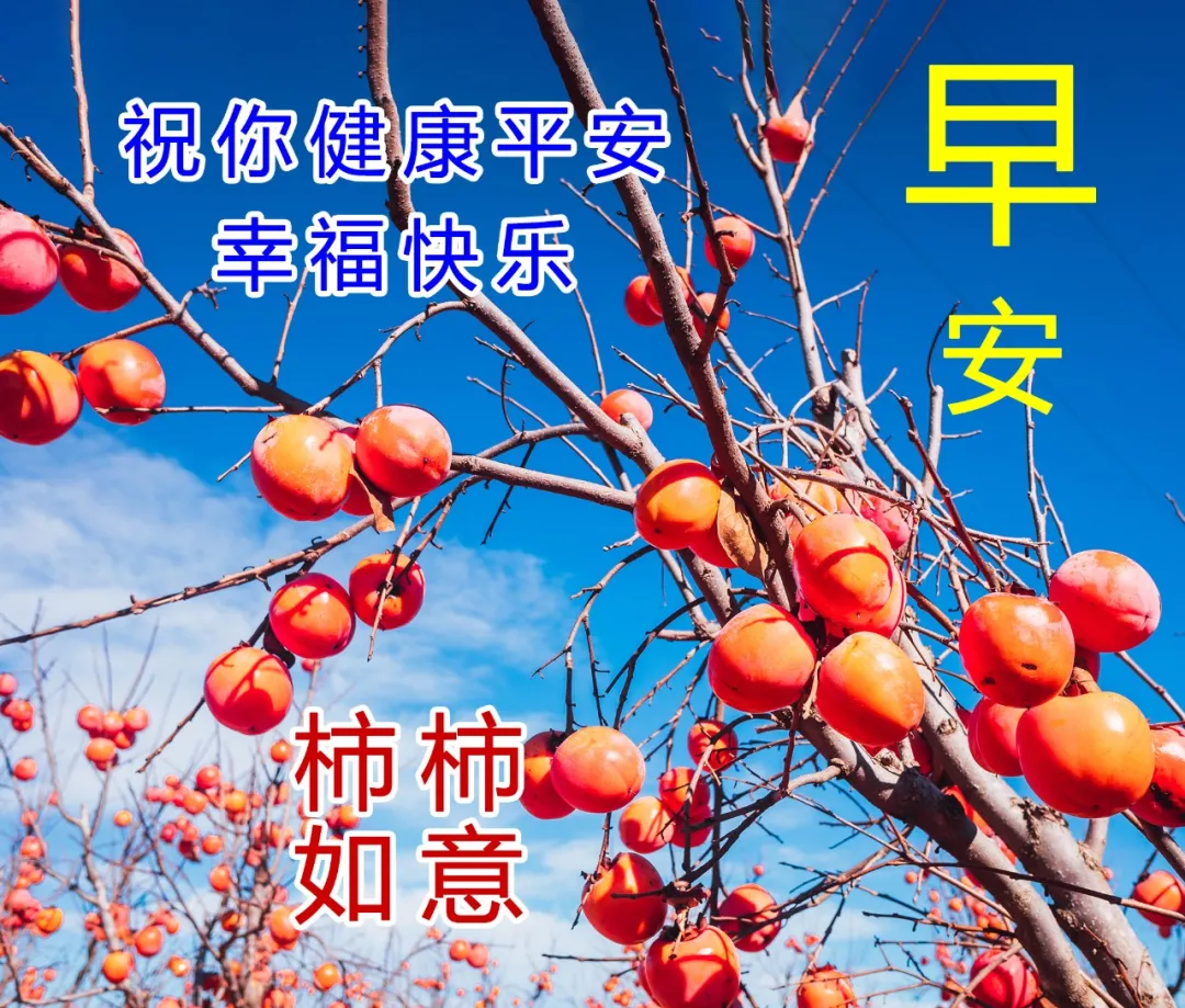 2022最美的早上好祝福图片，祝你今天好心情，工作顺利，生活甜美