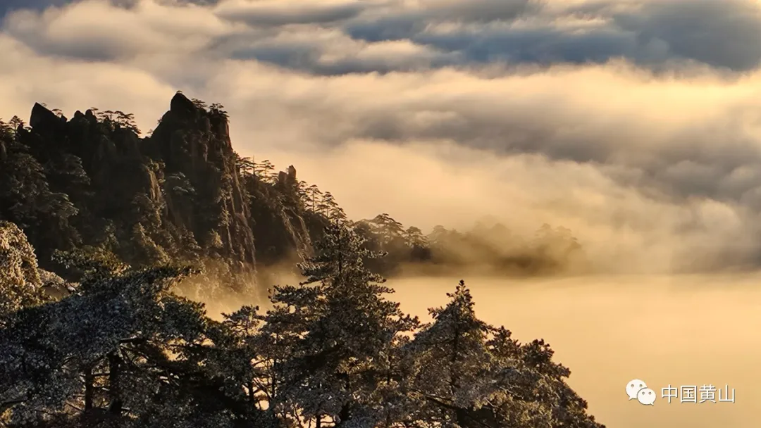 黄山雪后初霁,日出云海齐现美如仙境