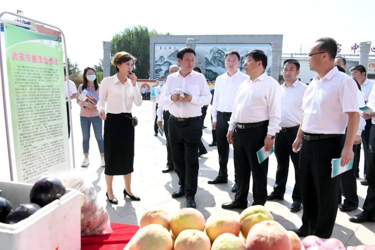 十件大事回顾武安文旅的2021