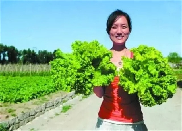 清华女博士毕业当农民：种地11年、年收入破百万，父母已认不出