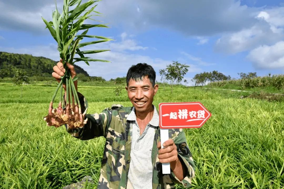 拼多多为什么“死磕”农业？