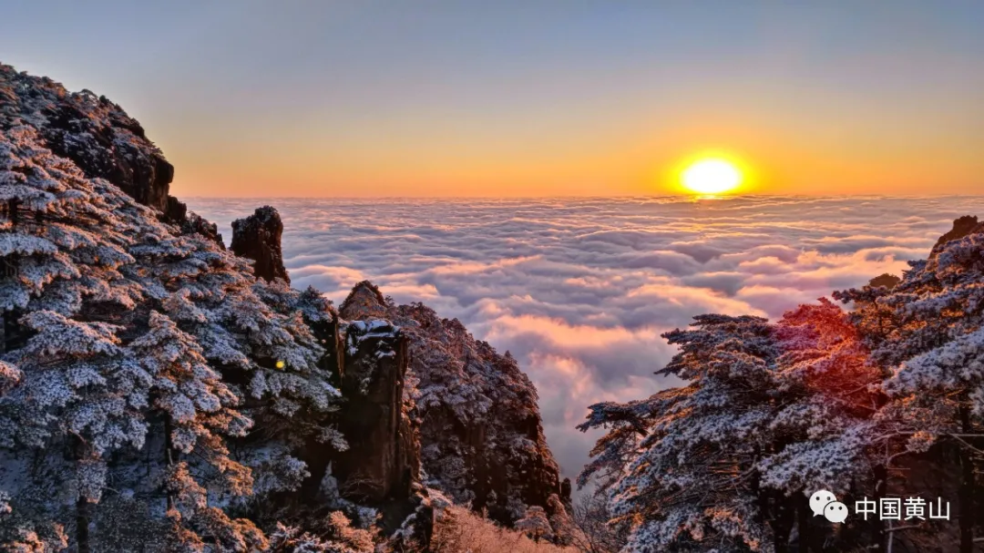 黄山雪后初霁,日出云海齐现美如仙境