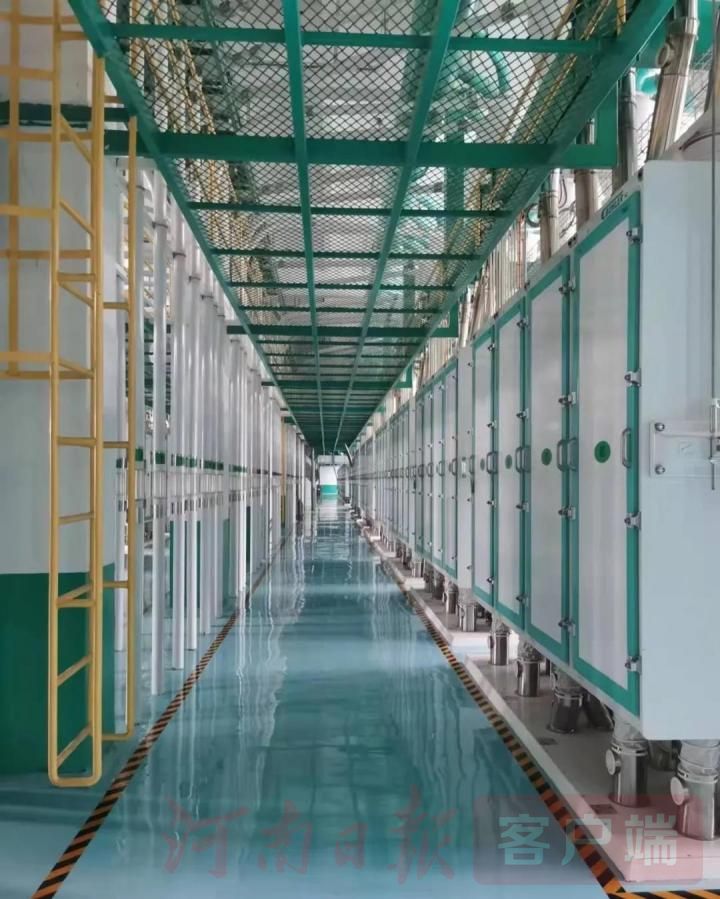 整体日处理小麦6000吨--五得利集团商丘面粉有限公司二期投产  第2张