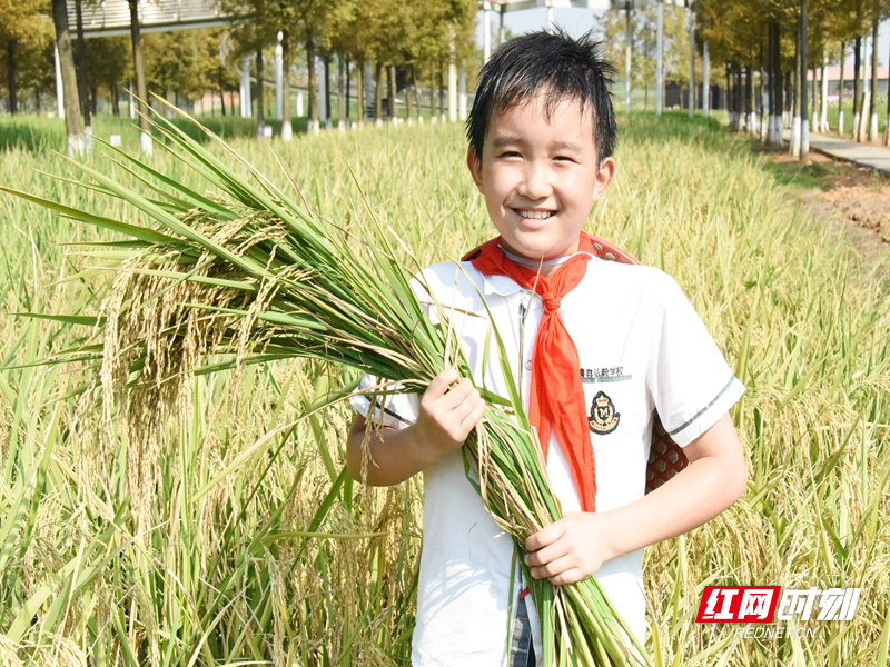 农耕文化教育是一堂必修课