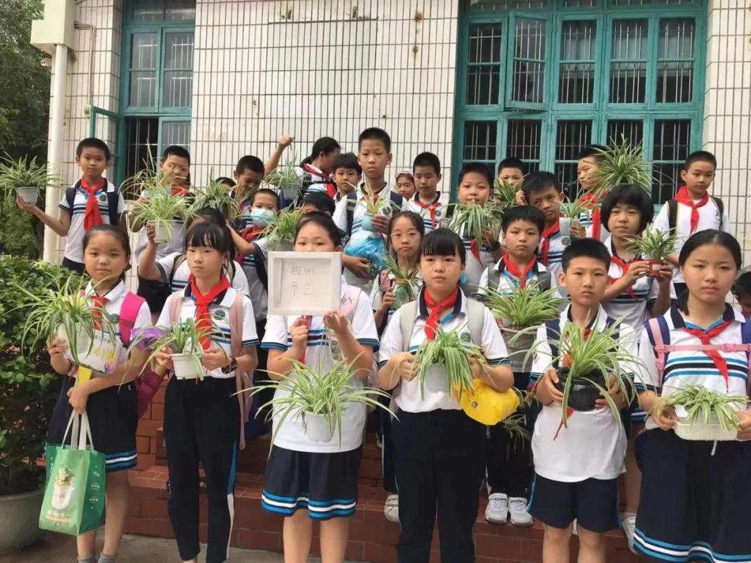 菁菁校园百草香---漳州市岳口小学被确定为全省中医药文化教育试点