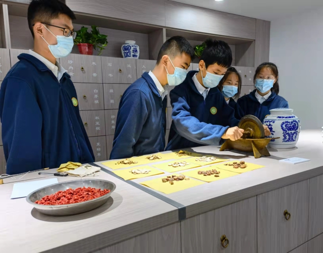 宁波海曙区：启动“中医药促进青少年健康成长”系列活动