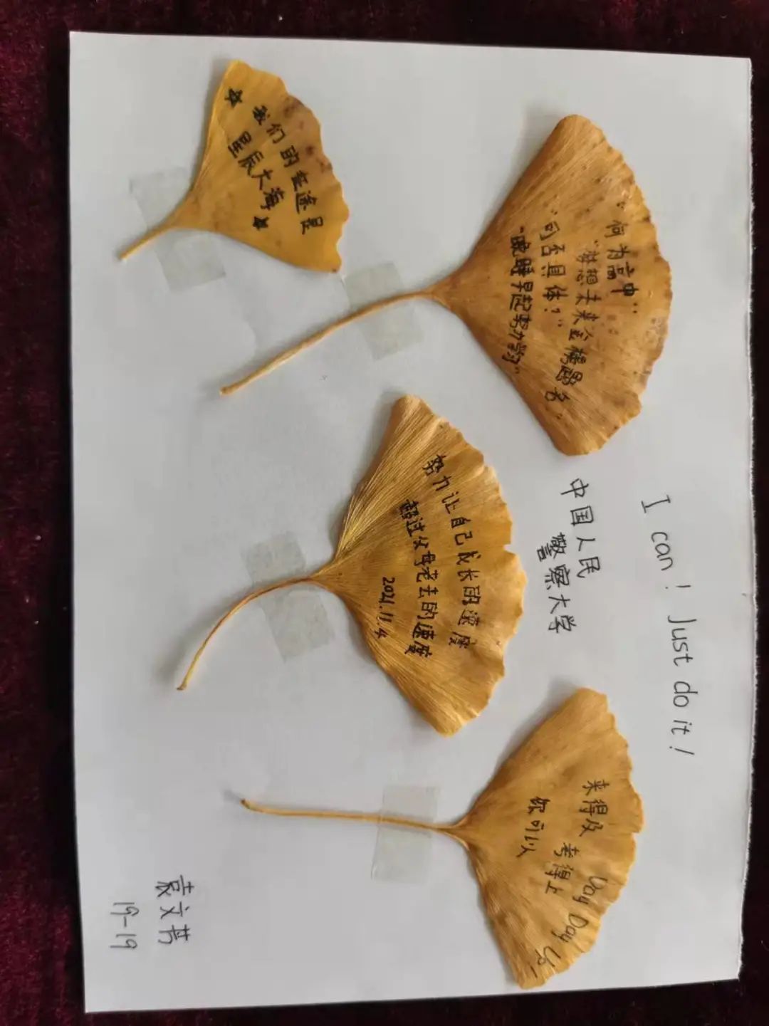 校园风铃:秋叶寄语——寄情于落叶,奋斗在盐中