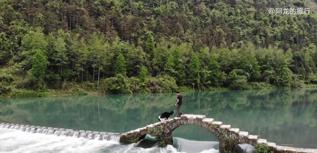 单身小伙带狗游遍中国大西南，从入不敷出到月入2万