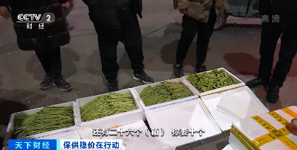 大棚蔬菜长势好，供应后劲足！山东寿光蔬菜价格小幅回落