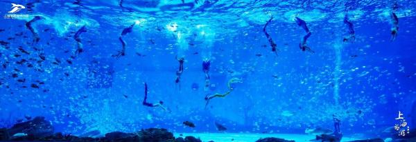 人鱼、企鹅闯进“水下直播间”，上海用全新方式推广文旅品牌