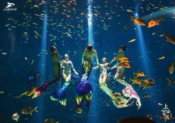 人鱼、企鹅闯进“水下直播间”，上海用全新方式推广文旅品牌