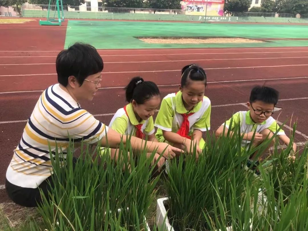 道墟街道中心小学综合实践活动课程开发(图4)