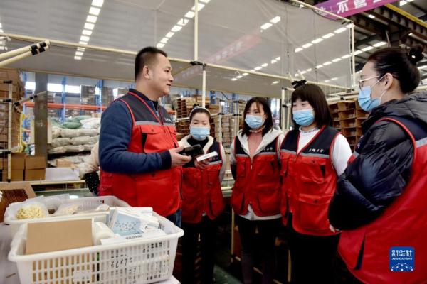 “云端”逐梦青春——“80后”返乡青年电商创业记