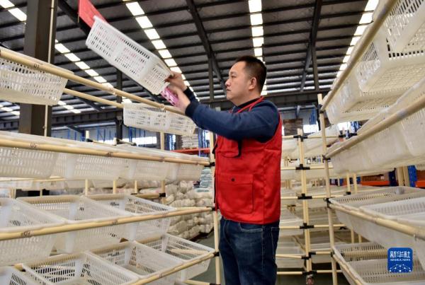 “云端”逐梦青春——“80后”返乡青年电商创业记