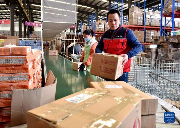 “云端”逐梦青春——“80后”返乡青年电商创业记