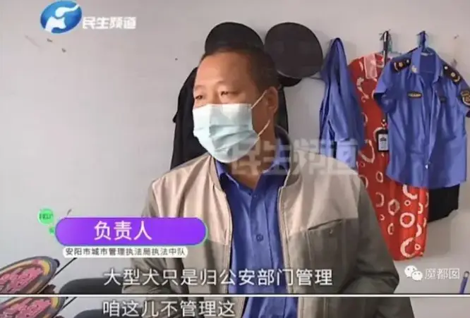 狗咬人事件气哭记者 狗主人被停职（登门道歉了）