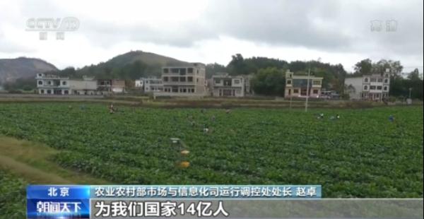 14億人每人每天3斤菜，我國“菜籃子”總量充足供應(yīng)有保障