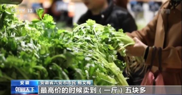 14億人每人每天3斤菜，我國“菜籃子”總量充足供應(yīng)有保障