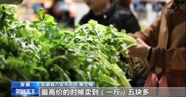 14亿人每人每天3斤菜，我国“菜篮子”总量充足供应有保障