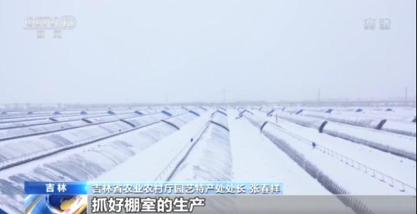 14億人每人每天3斤菜，我國“菜籃子”總量充足供應(yīng)有保障
