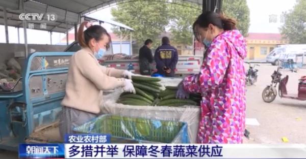 14億人每人每天3斤菜，我國“菜籃子”總量充足供應(yīng)有保障