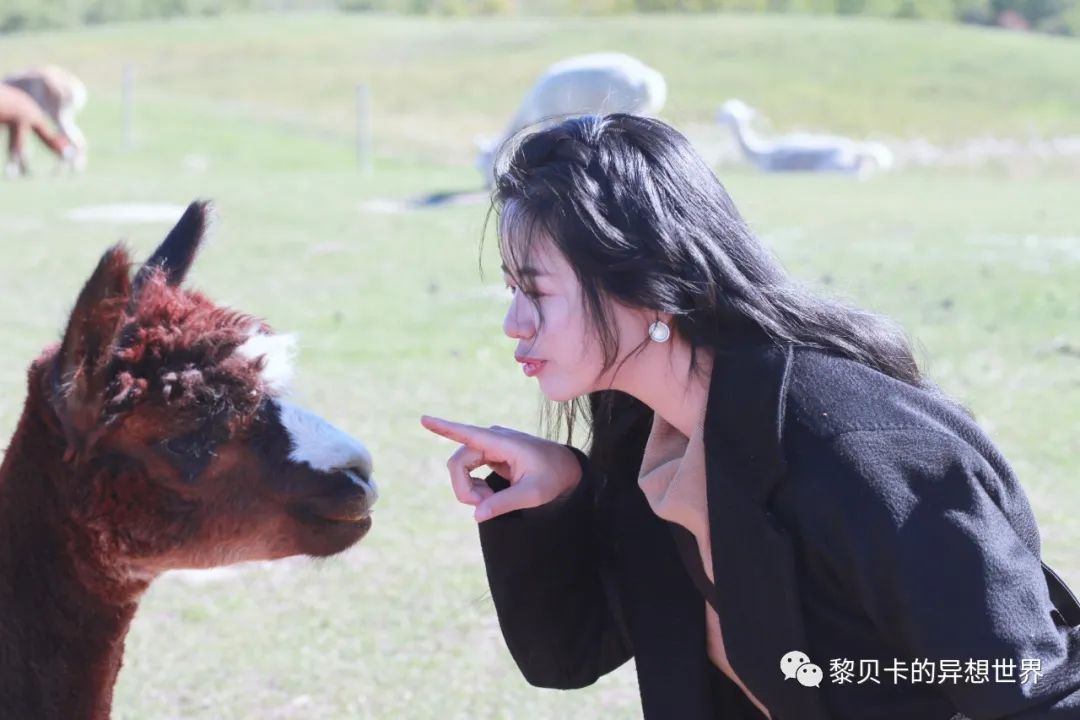 貝殼分享|| 看完她們的穿搭,又種草了幾件衣服 形象穿搭 第16張-戀愛小秘書-娜米 貝殼分享|| 看完她們的穿搭,又種草了幾件衣服 形象穿搭 第16張