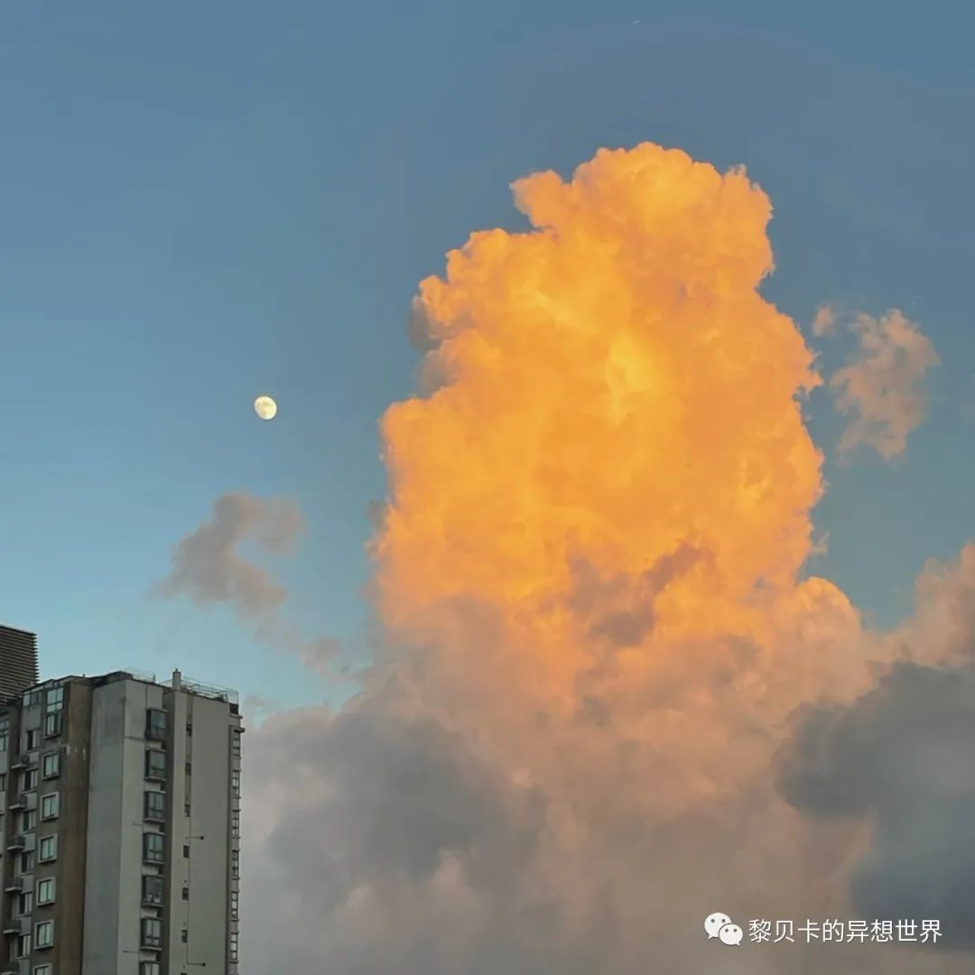 貝殼分享|| 看完她們的穿搭,又種草了幾件衣服 形象穿搭 第50張-戀愛小秘書-娜米 貝殼分享|| 看完她們的穿搭,又種草了幾件衣服 形象穿搭 第50張