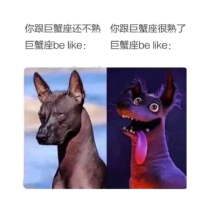 （星梗）星座meme合集11.20-11.26