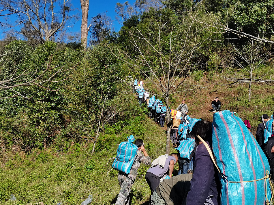 4地质人员哀牢山遇难:为何会失温,进山时是否准备过夜?