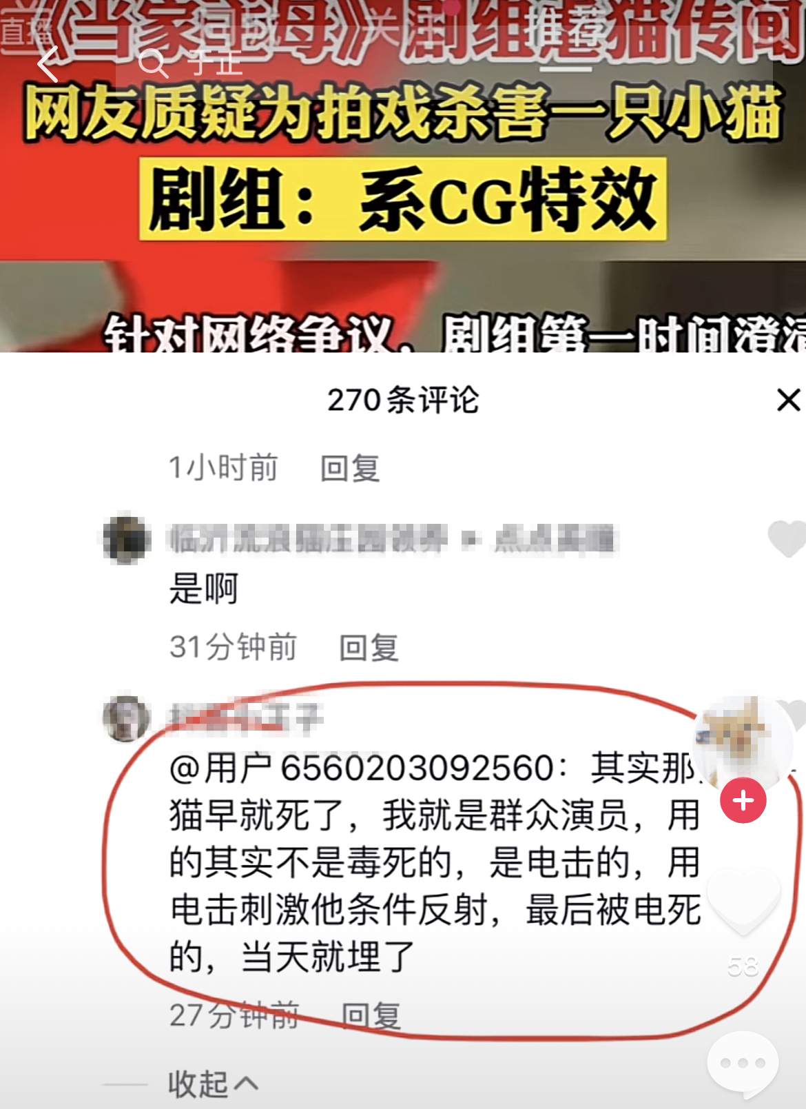 如何看待《当家主母》被质疑使用真猫拍摄死亡镜头，维护猫权的图片 -第6张