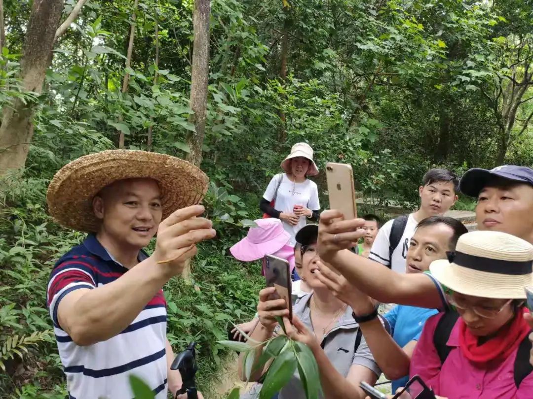 【技艺传承】人才领航传技艺！江门中医药职业学院开展中草药野外认采绝技绝艺教学创新