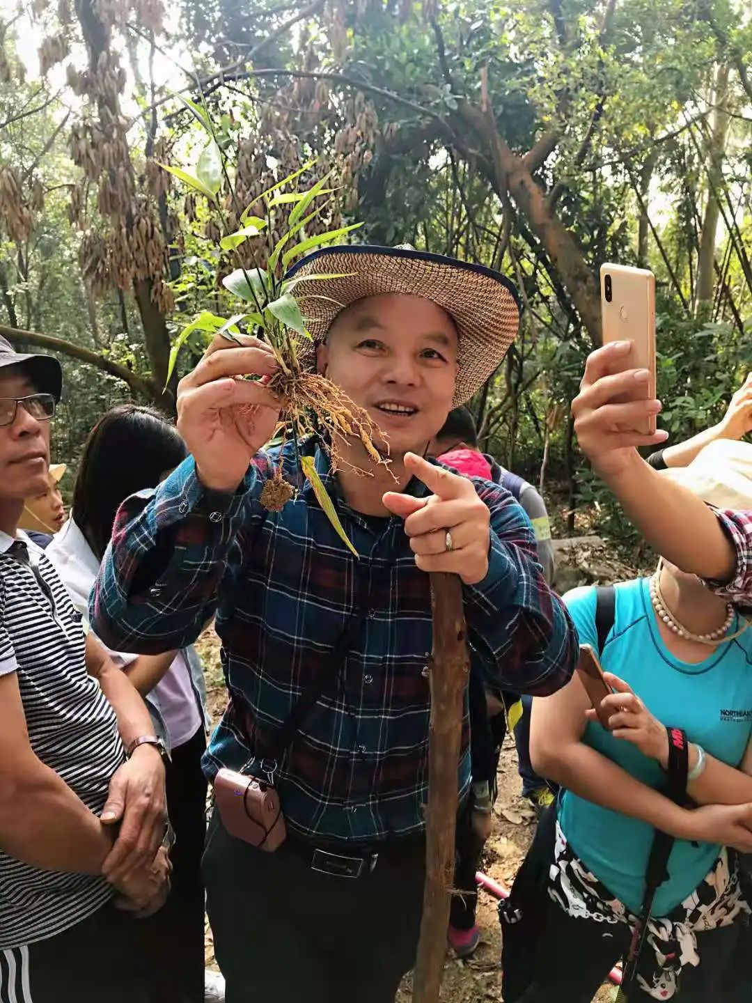 【技艺传承】人才领航传技艺！江门中医药职业学院开展中草药野外认采绝技绝艺教学创新