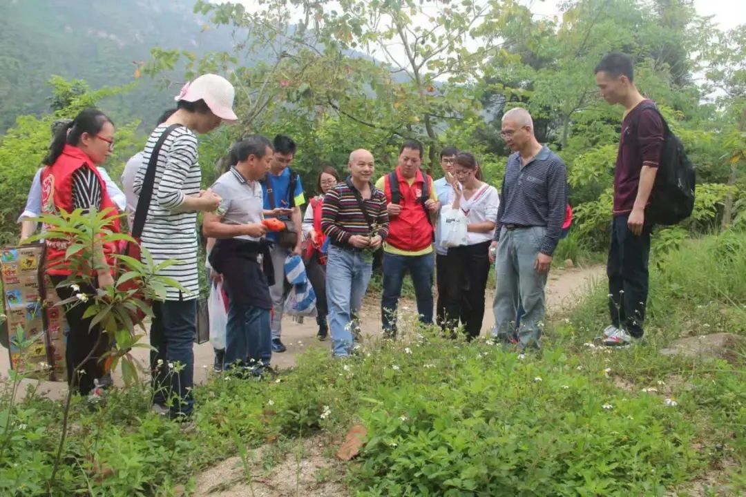【技艺传承】人才领航传技艺！江门中医药职业学院开展中草药野外认采绝技绝艺教学创新
