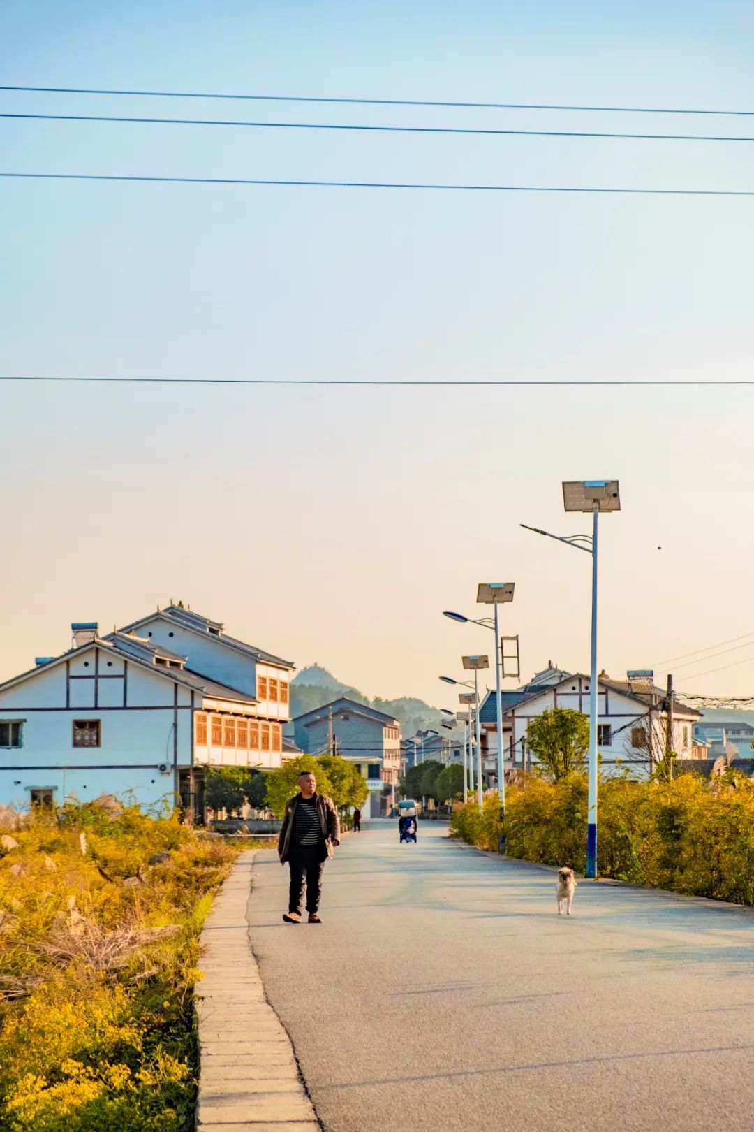 播州走进自然龙坪这里村光甚好