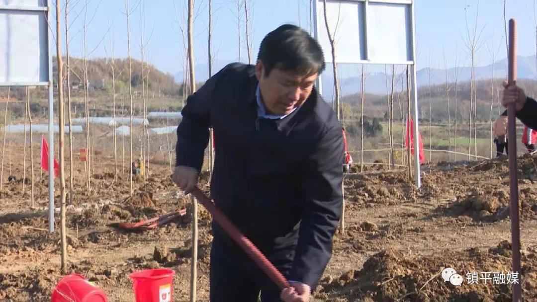 镇平：义务植树为玉乡添彩添绿